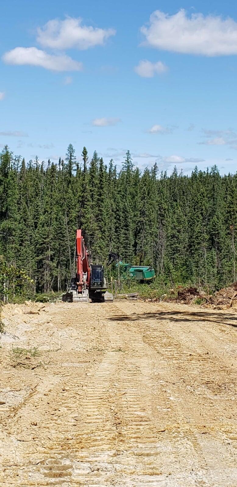 Heavy Machinery In Forest - Image