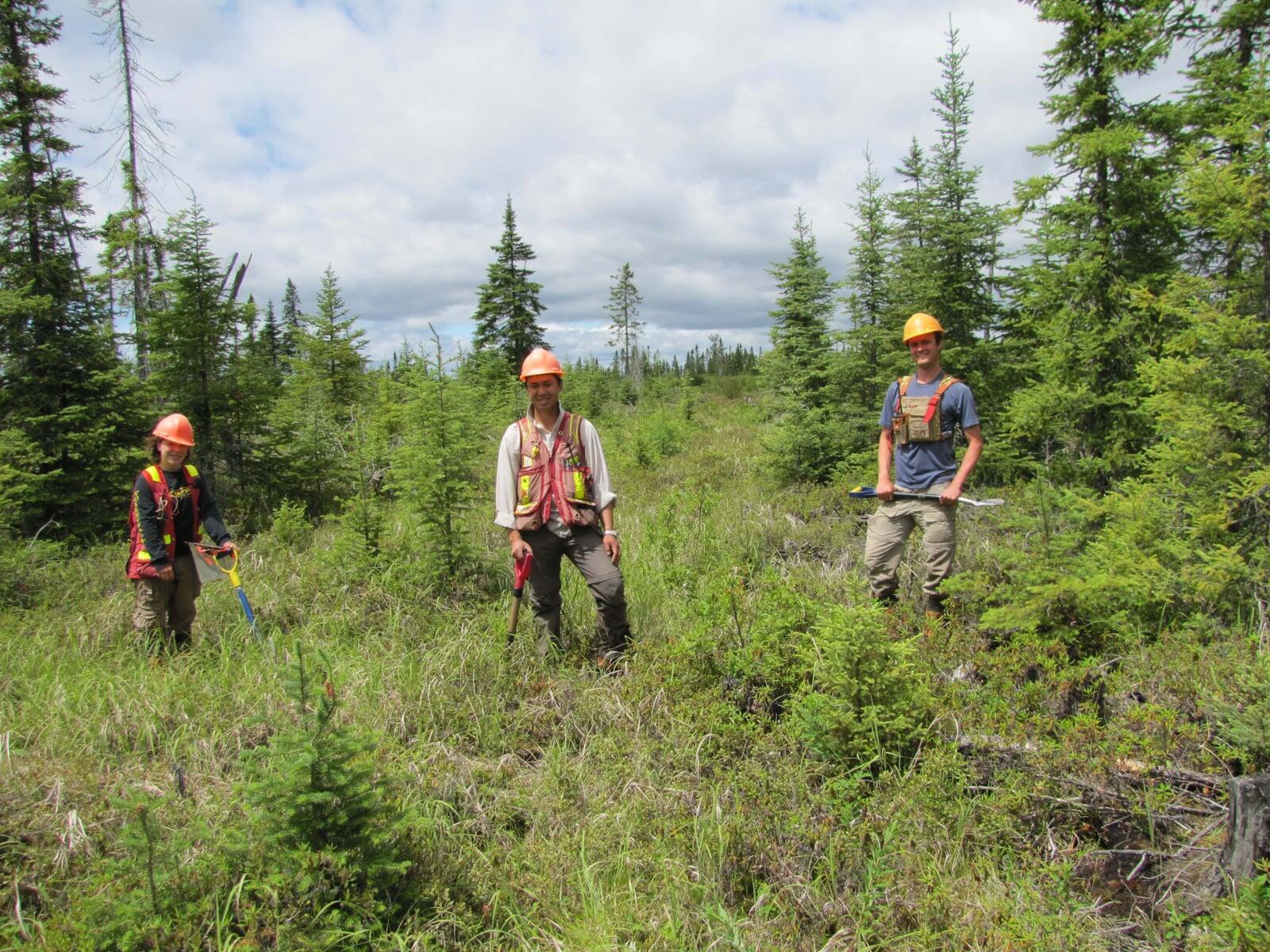 GFMI Workers in field