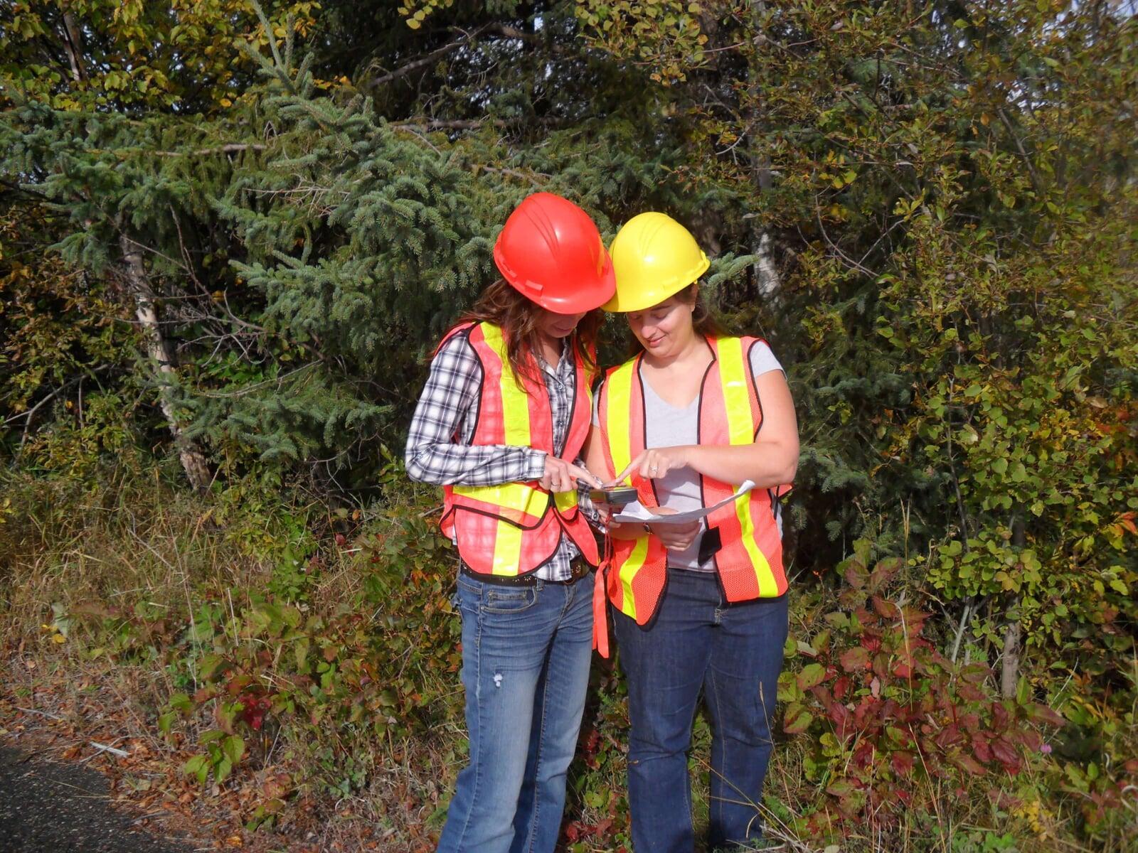 GFMI Forestry Workers